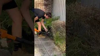 WORX Jawsaw....back in action....2 year review! 