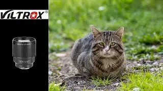 Prova Viltrox 85 f1,8 II XF su Fujifilm X-T5