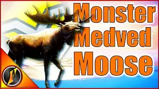 Diamond Moose Along Medved-Taiga's Icy Coast!