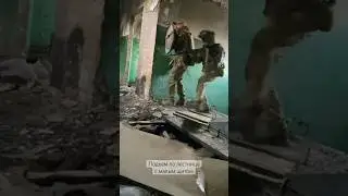 Подъем по лестнице со щитом