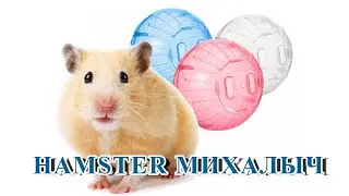 🐹 Hamster Михалыч