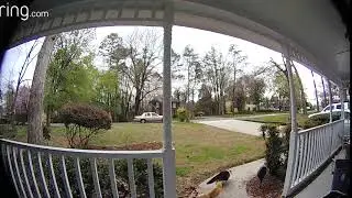 Its Raining Cats! - The Ring Video Doorbell