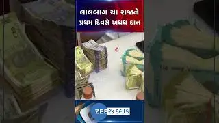 મુંબઇમાં લાલબાગ ચા રાજાને પહેલા દિવસે મળ્યું આટલું બધુ દાન! ગણવા બેસાડ્યા માણસો