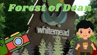 Whitemead Forest Park - Forest of Dean. Little Mr Man Camera Tour