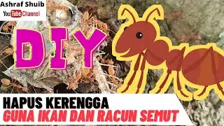 Hapus Kerengga Guna Ikan Rebus dan Racun Semut