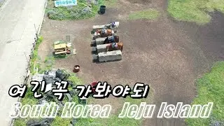 진정한 우도의 모든곳 제주여행중이면 꼭 가보세요