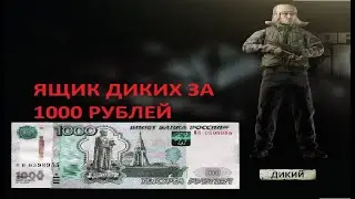 Escape From Tarkov (EFT). Ящик диких за 1000 рублей. Сто раз.