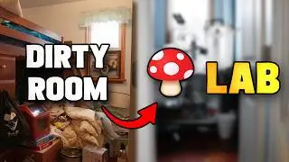 I Built a Home Mushroom Lab | DIY Mycology Lab