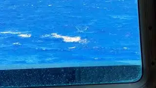 Offshore