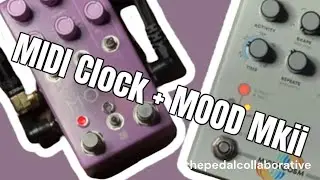 Using Midi Clock on 