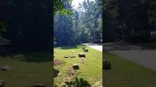 Video of Boston Minuteman Campground, MA from Tracy D.