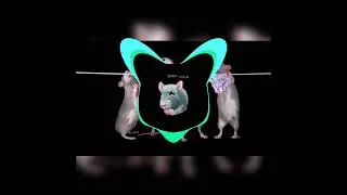 САМЫЙ МОЩНЫЙ БАСС В МИРЕ ДОМА НЕ ВКЛЮЧАТЬ ОСОБЕННО НА КАЛОНКАХ!!!!!!!