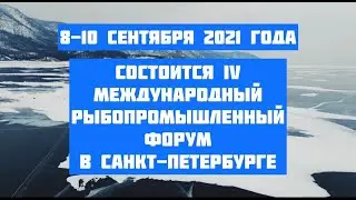 Анонс IV Международного рыбопромышленного форума, 8-10 сентября 2021 года