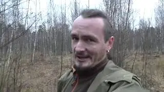 Вырубка леса   благое дело!