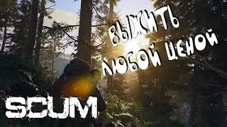 scum выживание в одиночку