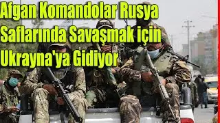 Afgan Komandolar Rusya Saflarında Savaşmak için Ukrayna'ya Gidiyor #haberler #sondakika