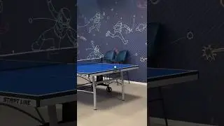 Просто с закрытыми глазами играл 🫨 #tabletennis