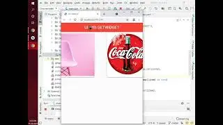 Flutter apps course class- 12