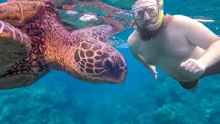 Hawaii on a Budget 🌴 Top 10 Affordable Activities in Oahu Hawaii