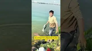Salamander