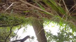 Falling