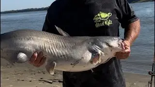 Beach fishing for bluecats!