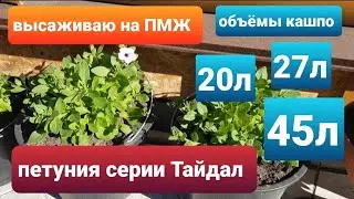 Высаживаю петунию серии Тайдал на ПМЖ в кашпо 20,27,45 литров/Грунт для тайдалов.