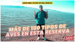 MÁS DE 100 TIPOS DE AVES EN ESTA RESERVA NATURAL | EL CALAFATE