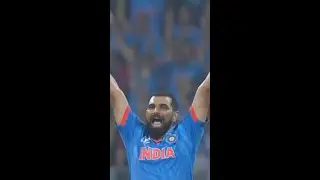 Who could forget this incredible performance from Mohammad Shami in the Cricket World Cup last year