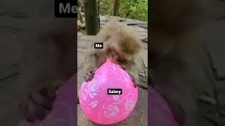 Salary,  you salary you,  mannerless,  how do you escape like that