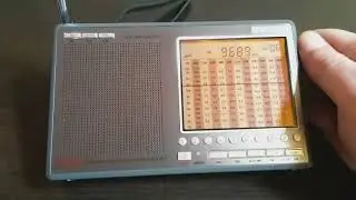 DEGEN DE1103 DSP. Работа soft-mute или отключили дома электричество.