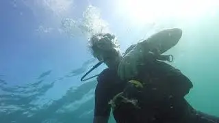 Дайвинг /Одесский Горсовет/ Анапа Gopro 4