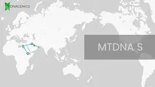 MTDNA S - DNAGENICS