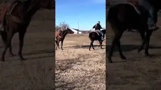 Lessons