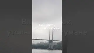 Туманный Владивосток #владивосток #лето #лето2024 #приморье #море #туман #топ1 #путешествия #travel