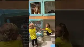 Очаровательное видео! Малыши веселятся в детском музее