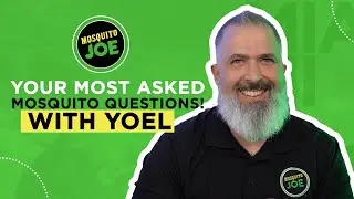 Everything You Need to Know About Mosquitoes: Common Questions Explained!