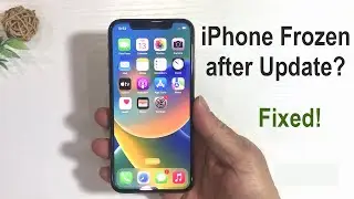 iPhone Frozen during/after iOS 16/15/14 Update? 3 Tips to Fix!