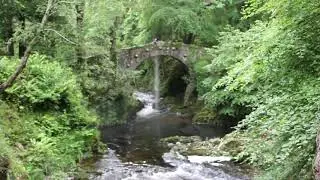 Distributing Micky's ashes at Foley's Bridge Tollymore Forest Park
