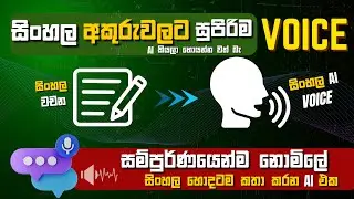 Sinhala Text to Speech AI Tool | සිංහලෙන් කතා කරන Free Text to Audio App 🔥සිංහලෙන් කතා කරන AI Tool