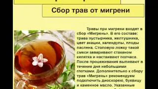 Сбор трав от мигрени