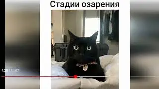 Смех до слез😄😄🤭🤭🤭