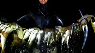 Part 2: Humakot ng sariwang biyaya😲🤤 #thankyouLord #fishing #spearfishingphilipines #fish #seafood