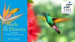 Birds and Flowers: An Intimate 50 Million Year Relationship with Jeff Ollerton