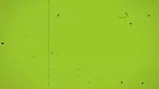 FILM DAMAGE EFFECT GREEN SCREEN (LOOP)