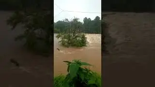 Kottayam Manimala under flood..