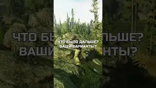 Встреча в Таркове! Что будет дальше?