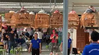 Top 30 _Chung Kết  đấu trường Việt Hoàng vé 1tr 68l