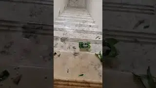 who is cleaning up what mess