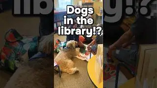 Read to a dog in the library!!